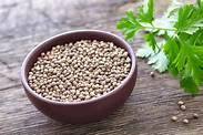 Natural Coriander Seed